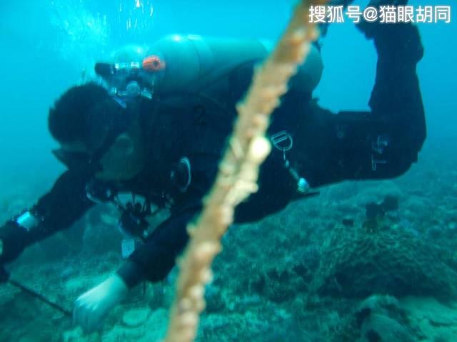 吉林个人案件判决书信息会在汇法网上公布吗?-全面解答,快速救助