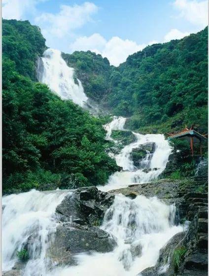 深度学习之旅,关注农历二月初八哪个城市有烧香拜佛庙会知识星球